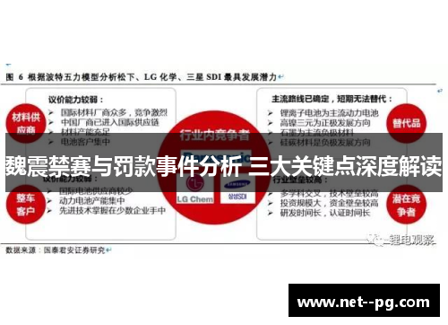 魏震禁赛与罚款事件分析 三大关键点深度解读